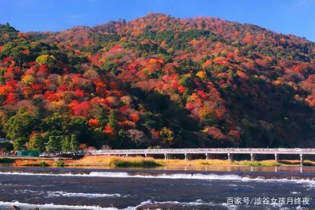 名侦探柯南剧场版《唐红的恋歌》相思形色露，欲掩不从心