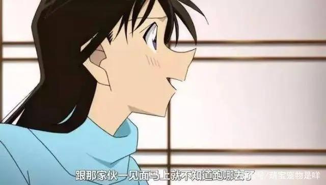 名侦探柯南最新剧场版《唐红的恋歌》,终极虐狗杰作