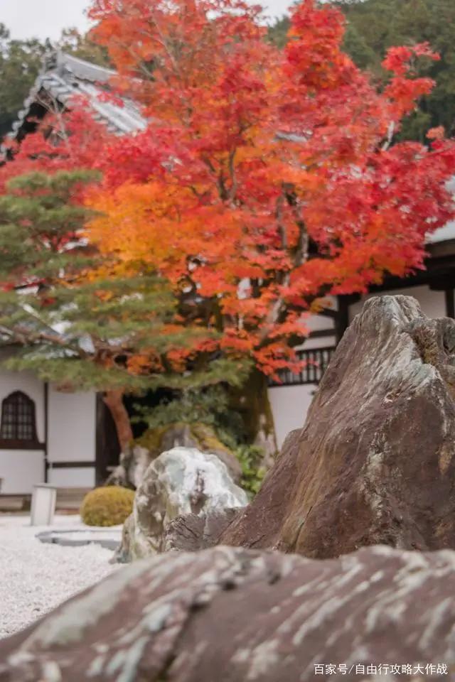 名侦探柯南唐红的恋歌渡月橋～君思ふ片尾曲拍摄地圣地巡礼付攻略