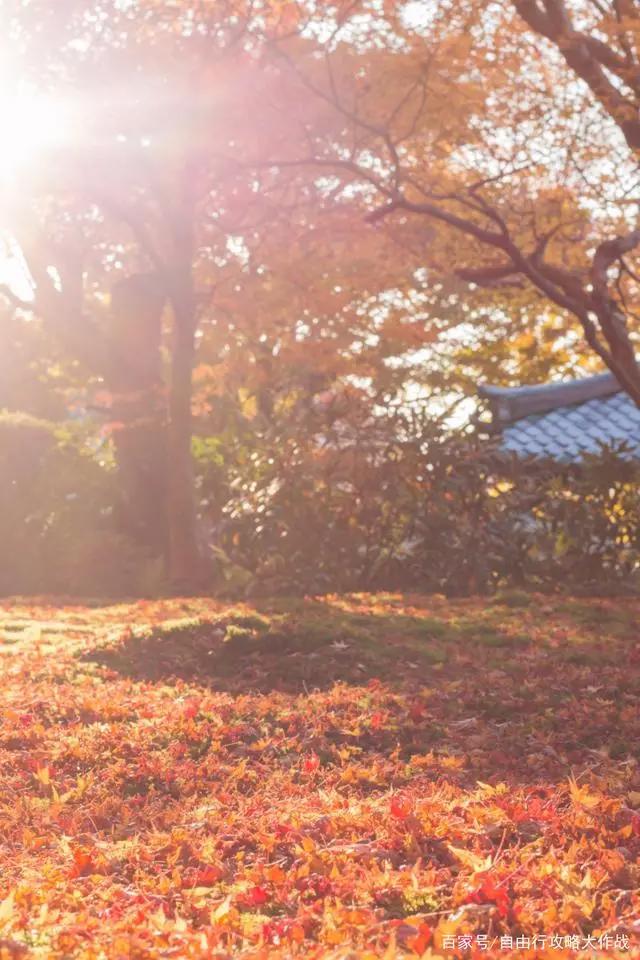 名侦探柯南唐红的恋歌渡月橋～君思ふ片尾曲拍摄地圣地巡礼付攻略