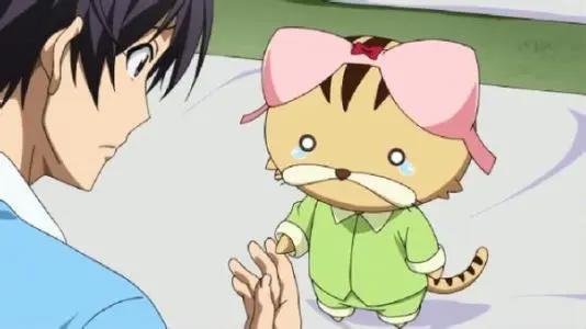 那些品味奇特的主角，不爱美人爱僵尸，喜欢一只腊肠狗也是够了