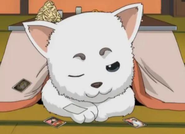 人不如狗系列，盘点动画中那些高人气的犬类角色