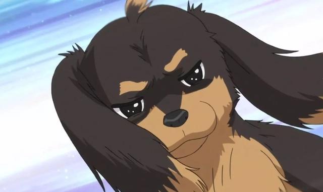 人不如狗系列，盘点动画中那些高人气的犬类角色