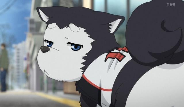 人不如狗系列，盘点动画中那些高人气的犬类角色