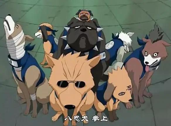 人不如狗系列，盘点动画中那些高人气的犬类角色