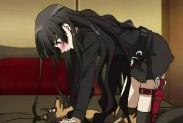 一条狗：这条国漫人气狗，让所有人羡慕不已，网友：人活得不如狗