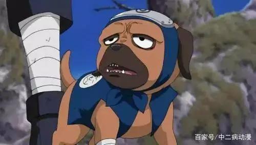 动漫里五只宠物狗，第三只专咬熟人，最后一只娶了白富美！