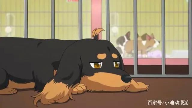 如果你能变成下面这些动漫反套路主角，你会选谁？