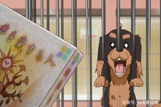 狗年“虐狗”？男主开局领便当，从此过上没羞没躁的恋爱生活？