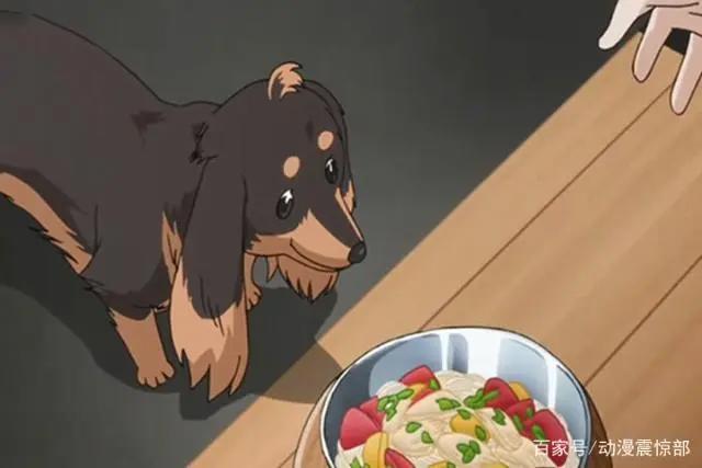 狗年“虐狗”？男主开局领便当，从此过上没羞没躁的恋爱生活？