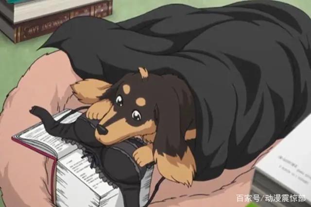 狗年“虐狗”？男主开局领便当，从此过上没羞没躁的恋爱生活？