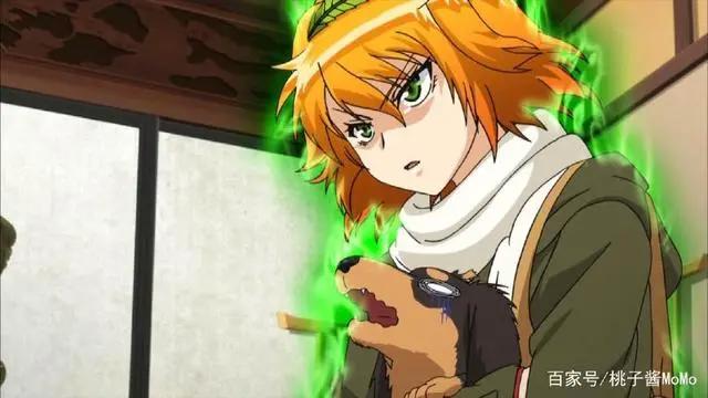 人不如兽，“生不如加速猪，死不如剪刀狗”动物也能走后宫路线