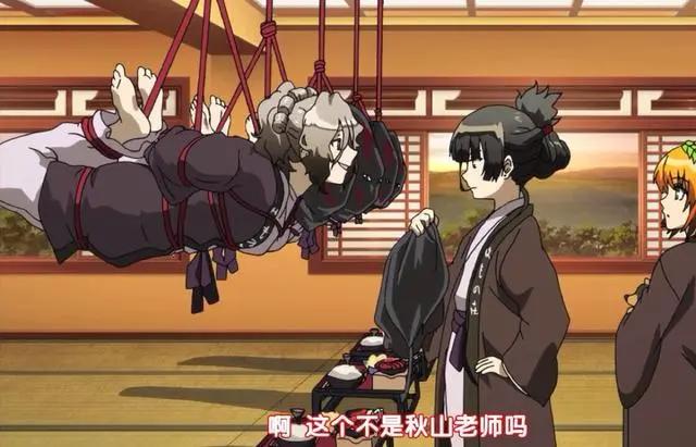 为何总有人说“生不如加速猪，死不如剪刀狗”？原因很简单