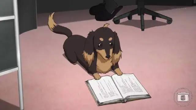 死不如剪刀狗？拜托，我还是想好好活着