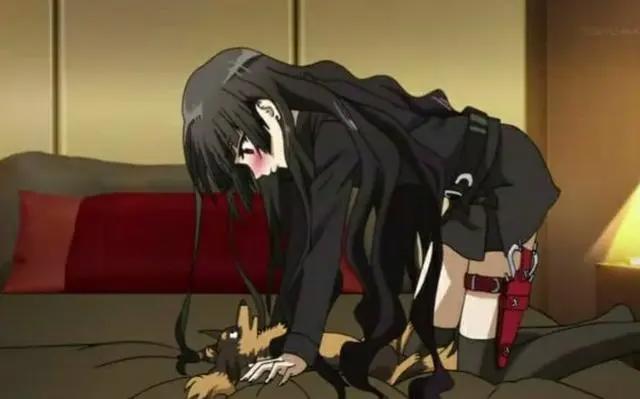 加速猪和剪刀狗都靠边！这些动漫中男主变为猫和老鼠也能开后宫！