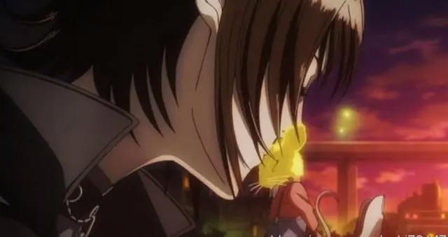 加速猪和剪刀狗都靠边！这些动漫中男主变为猫和老鼠也能开后宫！