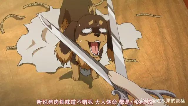 狗与剪刀的正确用法：不读书毋宁死，一只爱好阅读的腊肠狗