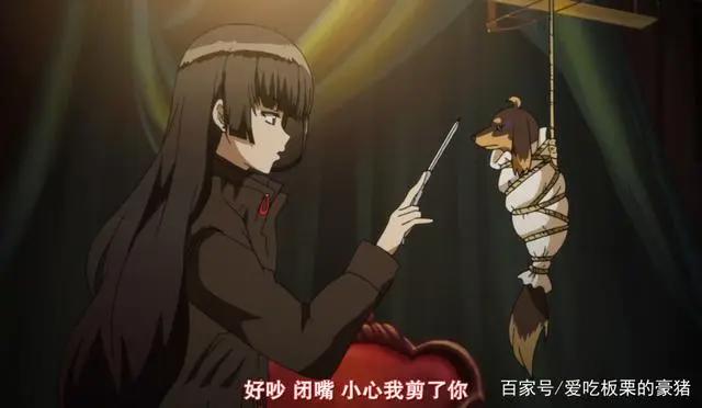 狗与剪刀的正确用法：不读书毋宁死，一只爱好阅读的腊肠狗