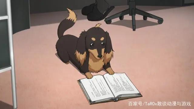 《狗与剪刀的正确用法》轻改搞笑动漫，男主转生为狗与作家的同居