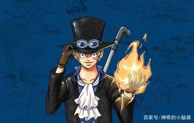 火拳意志继承者，烧烧果实被萨博浪费，三大神技他一个都不会！