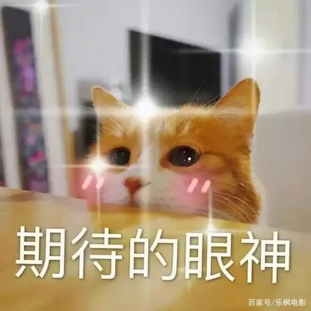 18部电影“挤进”端午档，包贝尔新片呼声最高！郑恺变大叔抢票房