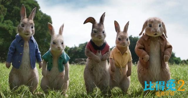 端午节想看榜排名前7的电影，包贝尔新片仅排第6，郑恺新片排第3