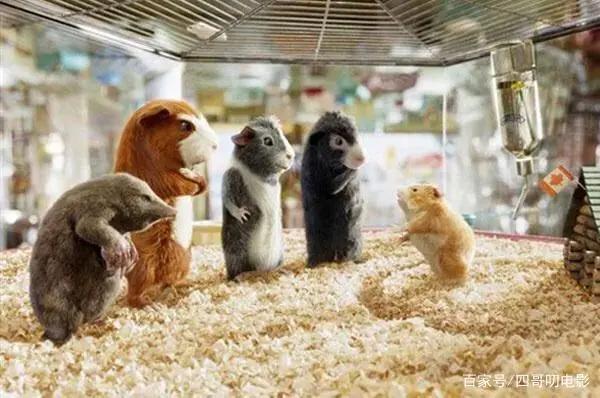 历数那些动漫中的经典老鼠卡通形象，哪一个勾起了你的童年记忆？