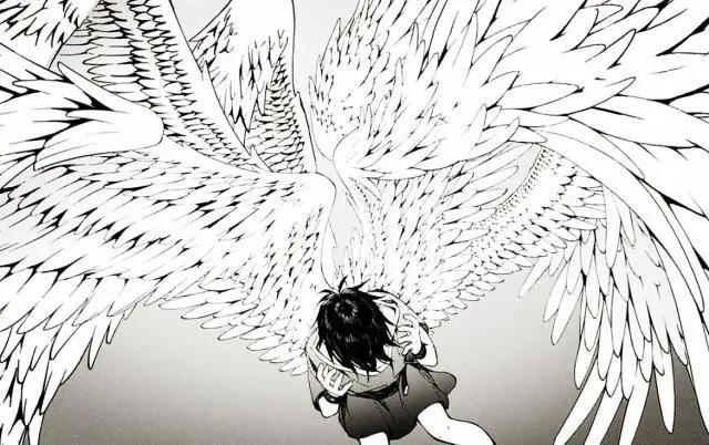 终结的炽天使拥有的翅膀数量各不相同，优一郎是双翼，小四是六翼