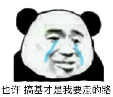 总算不做成逗比的了，这部动画的黑帮才是真正的黑帮！