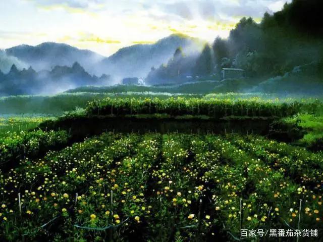 盘点那些画风使人舒适的动漫！