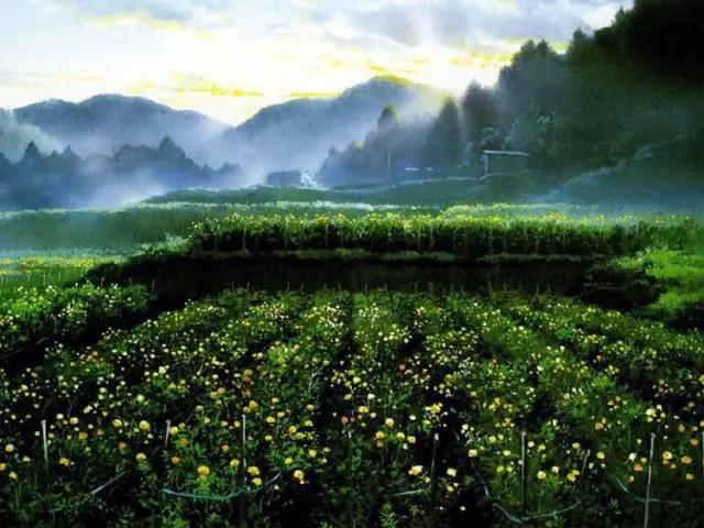 有一种美叫宫崎骏的夏天，你最喜欢哪部电影呢？