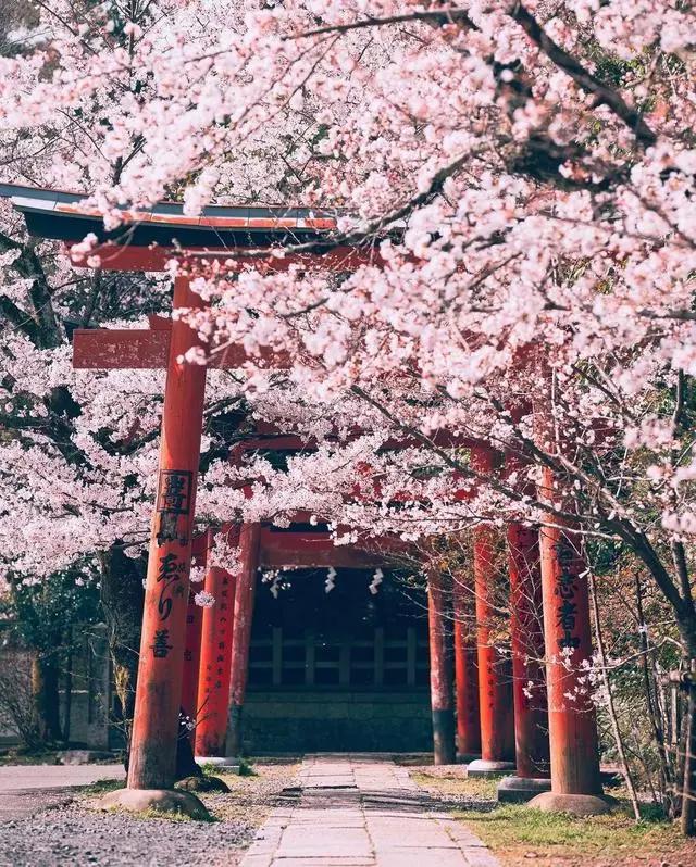 是死神还是旅游大使，最新柯南剧场版来了！