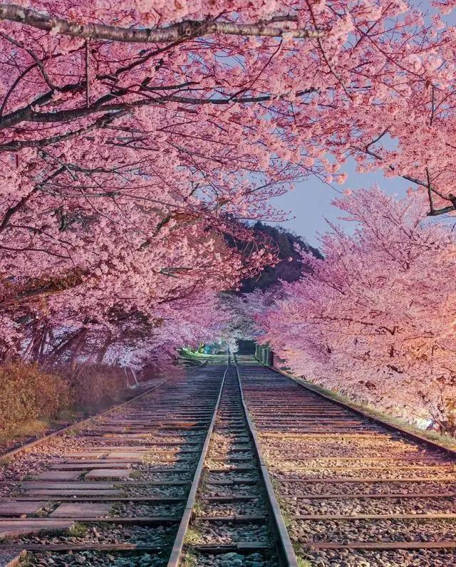 是死神还是旅游大使，最新柯南剧场版来了！