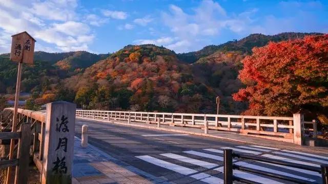 是死神还是旅游大使，最新柯南剧场版来了！