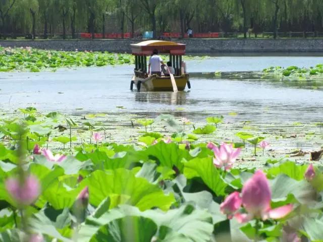 熟悉的夏天，熟悉的城市，熟悉的味道