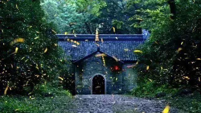熟悉的夏天，熟悉的城市，熟悉的味道