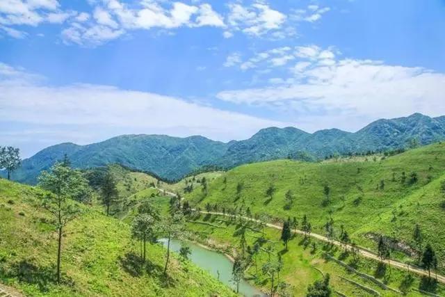暑假去哪儿？推荐台州这11处好玩地开启亲子之旅吧
