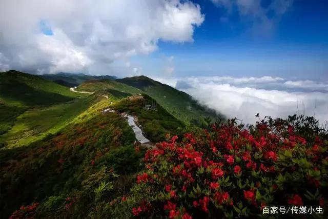 宫崎骏动漫般的，晴天，阴天，下雨天