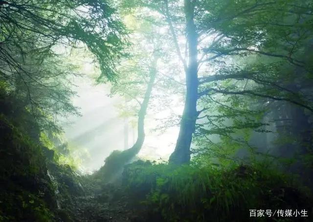 宫崎骏动漫般的，晴天，阴天，下雨天