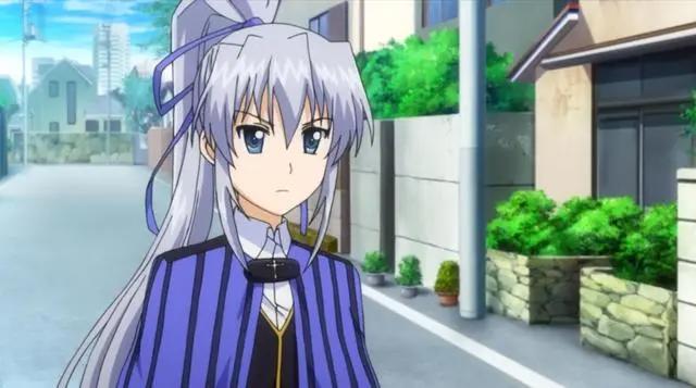 为什么动漫里的男主总是实力高强，而且身边还有众多美少女呢？