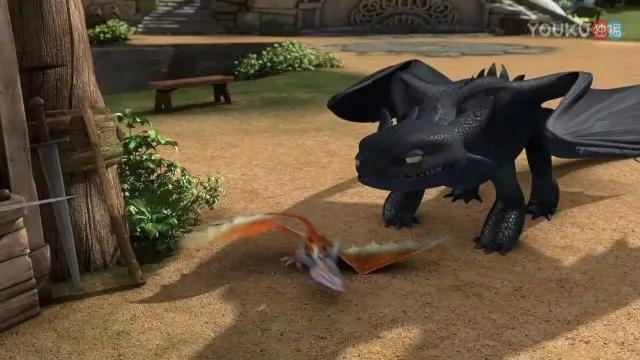 驯龙高手：小嗝嗝喜新厌旧，坚持带一条小龙回家，无牙仔吃醋了！