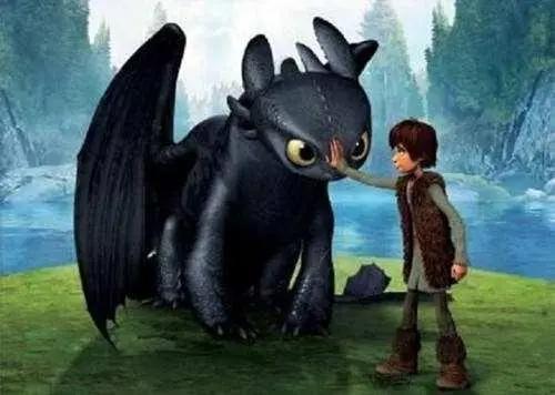 驯龙高手：小嗝嗝喜新厌旧，坚持带一条小龙回家，无牙仔吃醋了！