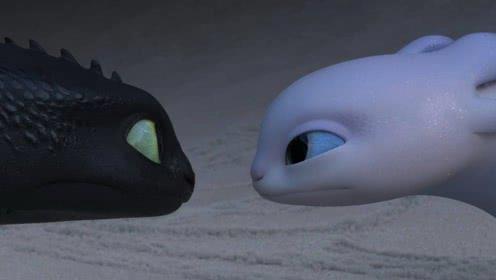 《驯龙高手3》：单身这么多年终于恋爱了，无牙仔的二哈式撩妹