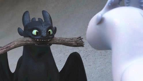 《驯龙高手3》：单身这么多年终于恋爱了，无牙仔的二哈式撩妹