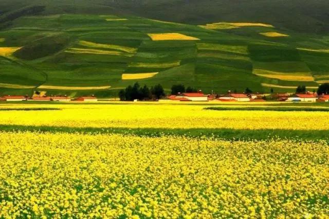 《攀登者》最大劲敌？这部“珠峰”动漫，烂番茄指数竟比哪吒还高
