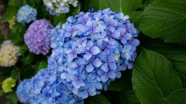 天气之子，动画取景地大公开，看完再次惊叹诚哥的画风