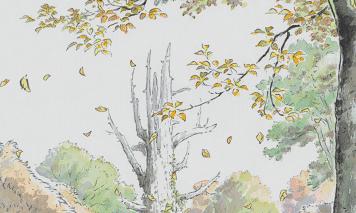 日本动画的两种可能：为何《你的名字。》票房成功而《辉夜姬物语》大败？