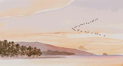 日本动画的两种可能：为何《你的名字。》票房成功而《辉夜姬物语》大败？