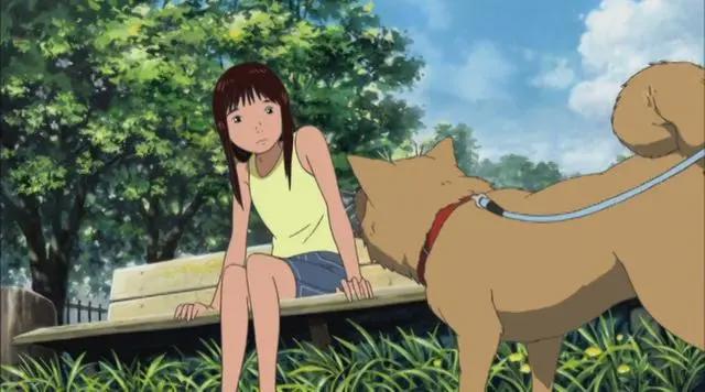 《河童之夏》：我们祈求着能与命运和解，恰如那只离开了水的河童