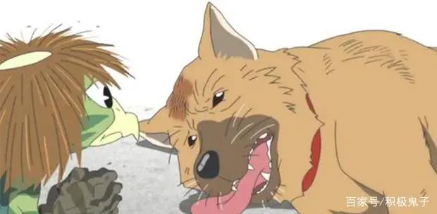 由日本神话改成的动漫，碰巧遇到了你，碰巧我是河童